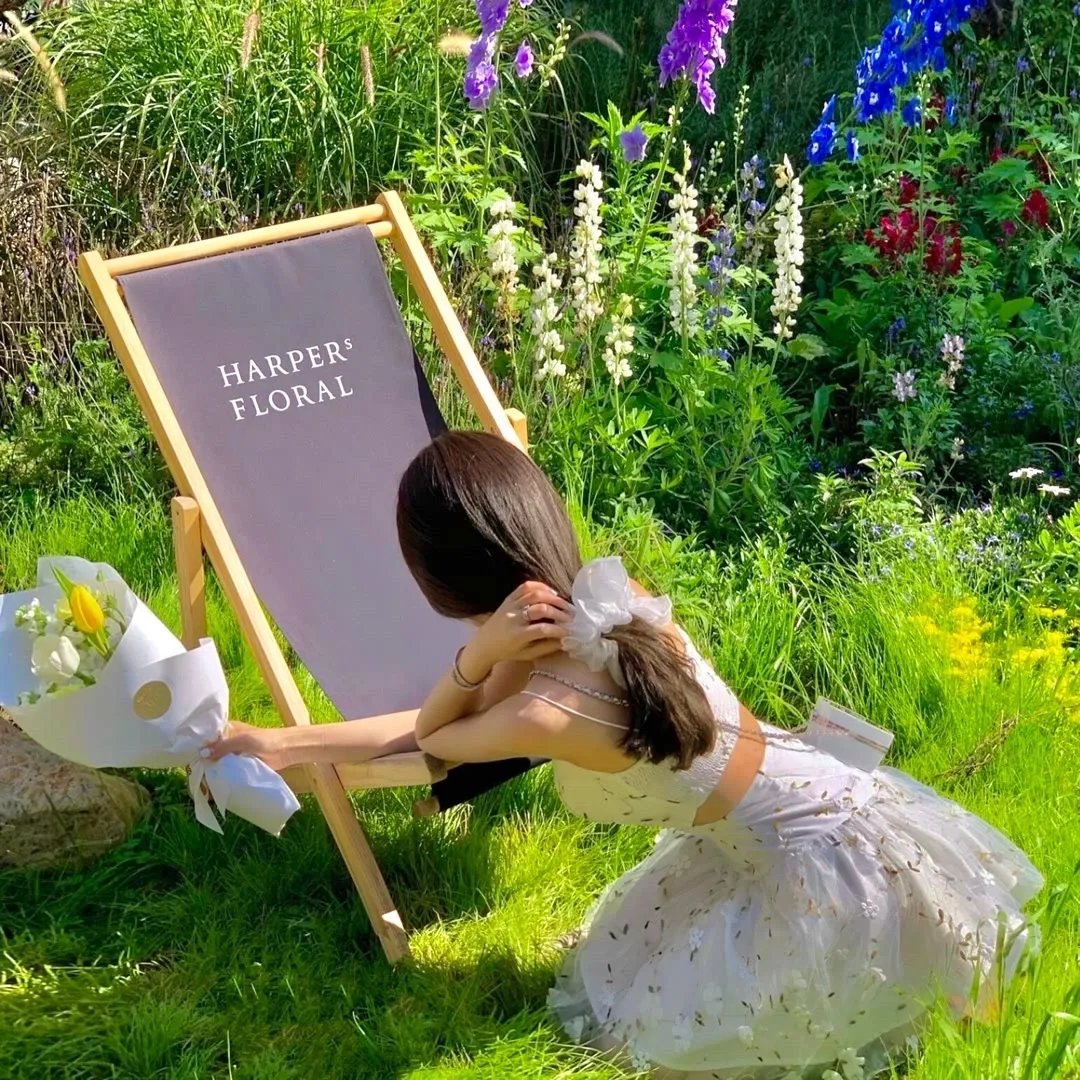 裴律请降临我手心